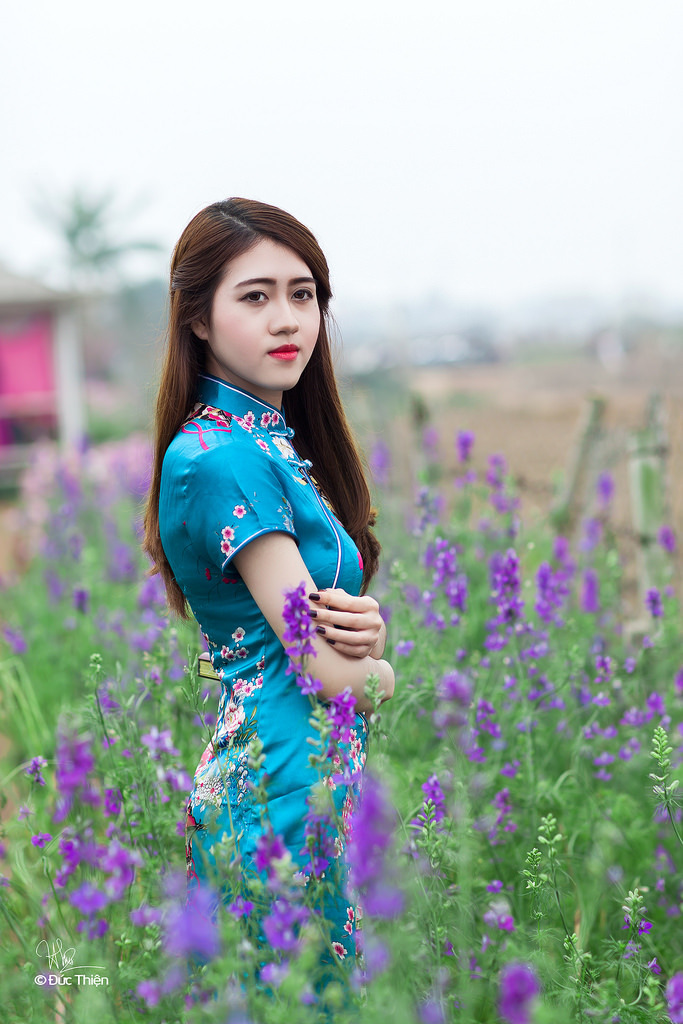 蓝莓在线观看免费高清电视剧